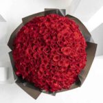 Showstopper | 250 Rose