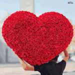 500 Red roses In a Heart