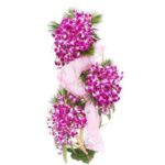 Tall Aroma By Indore Florist