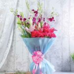 Pastel Harmony