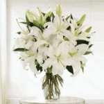 White Lilies in a Glass vase