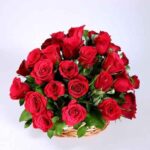 Red Roses Love