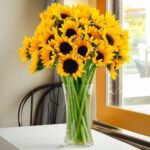 Sunflowers in Vase
