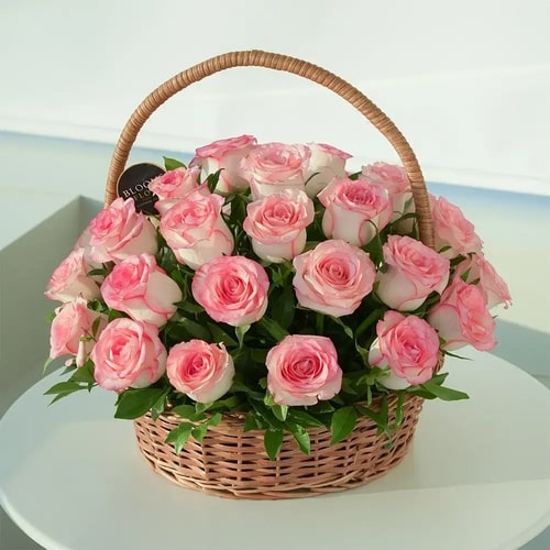 175972307821085693 (6)