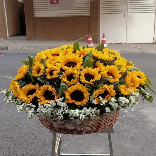 176336356927744251 (1)