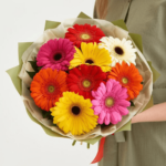 mixed Gerberas