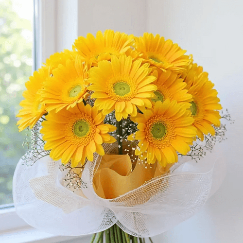 176737056868456866-min