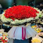 Extravagant Beauty - 500 Red Rose Bouquet